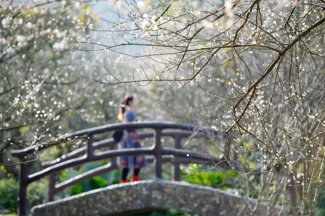 全域旅游
